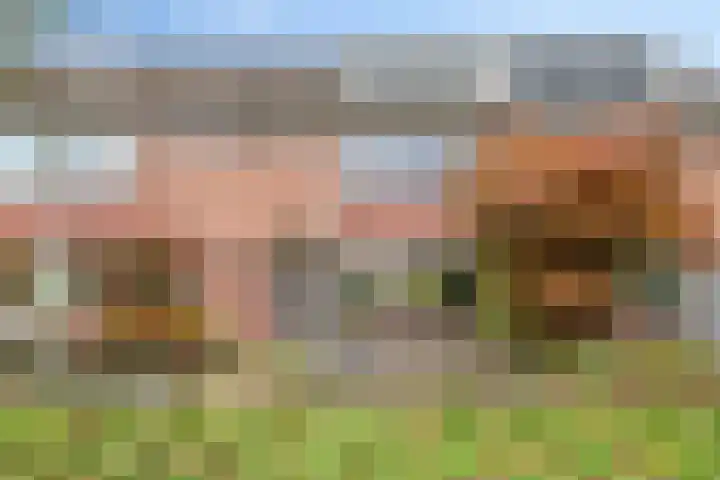 IJsvogelhof 21 Nuenen thumbnail 4