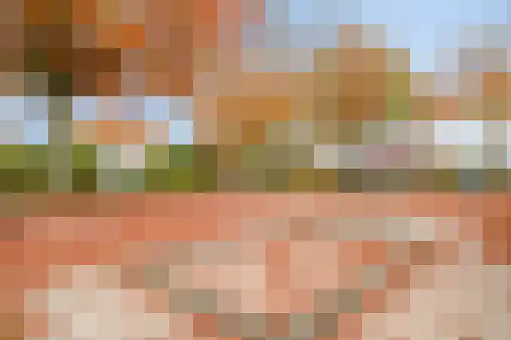 IJsvogelhof 21 Nuenen thumbnail 40