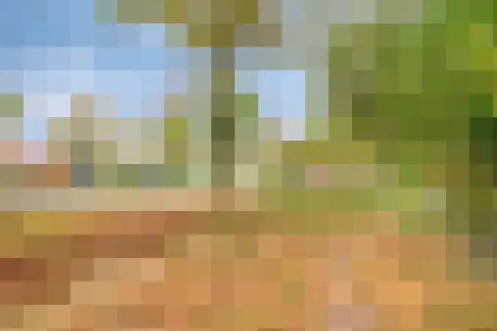 IJsvogelhof 21 Nuenen thumbnail 41