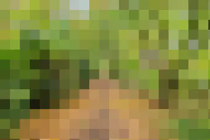 IJsvogelhof 21 Nuenen thumbnail 42
