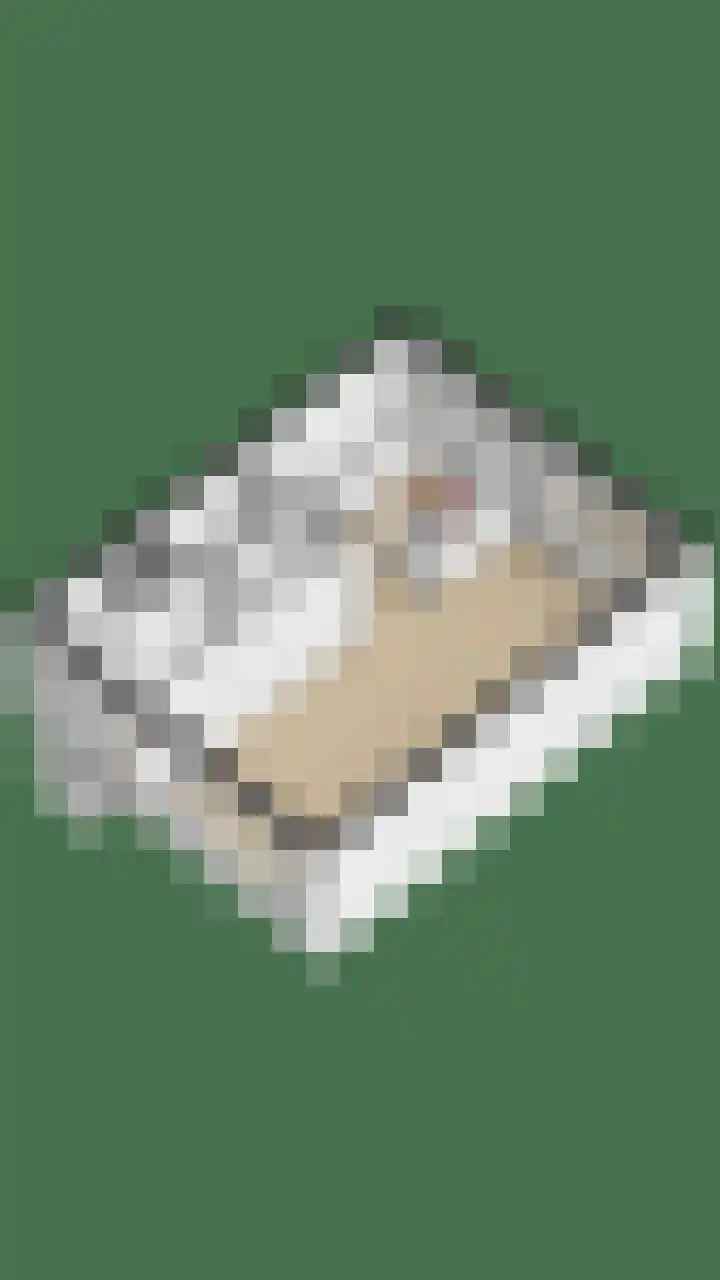 IJsvogelhof 21 Nuenen thumbnail 47