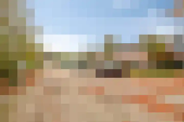 IJsvogelhof 21 Nuenen thumbnail 6
