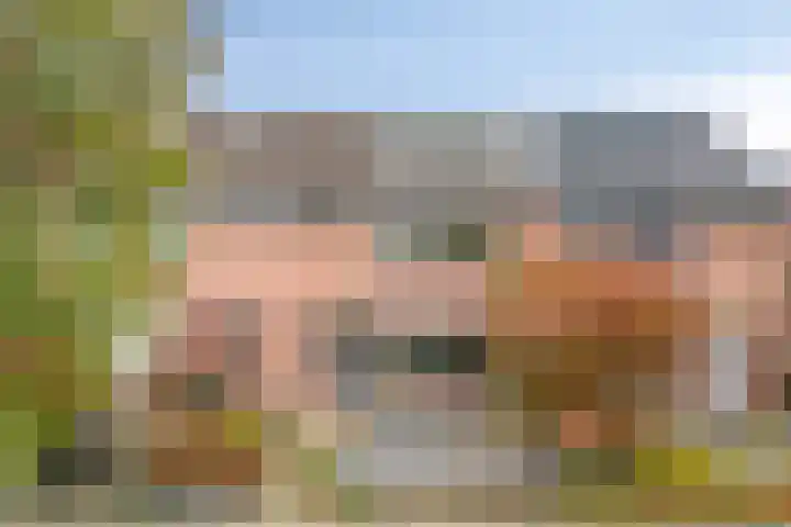 IJsvogelhof 21 Nuenen thumbnail 7