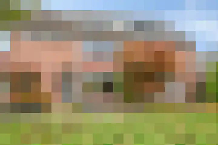 IJsvogelhof 21 Nuenen thumbnail 9