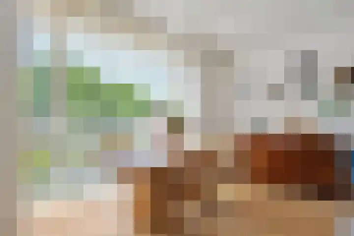 IJsvogelhof 3 Utrecht thumbnail 11