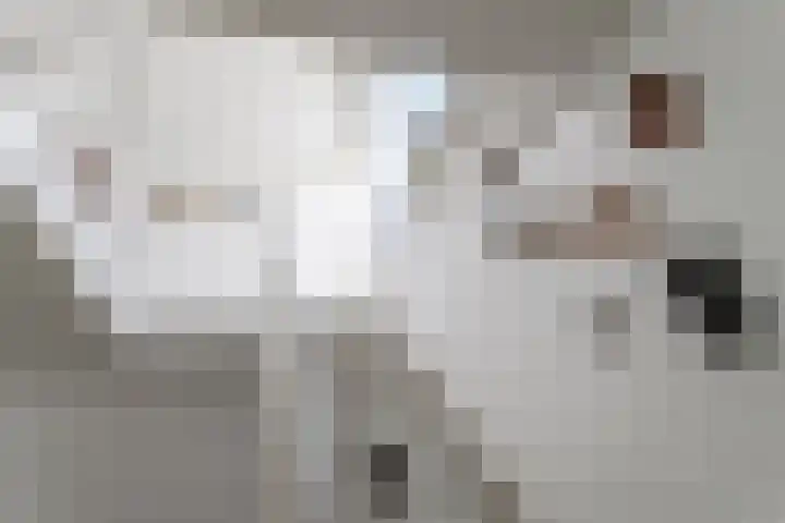 IJsvogelhof 3 Utrecht thumbnail 16