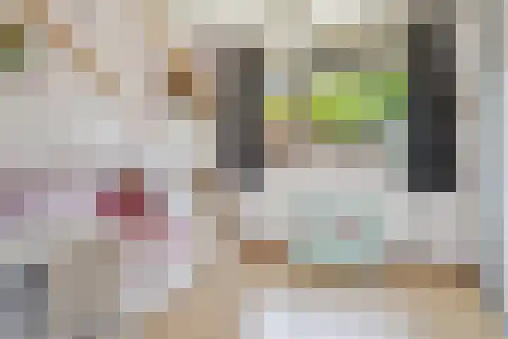 IJsvogelhof 3 Utrecht thumbnail 18