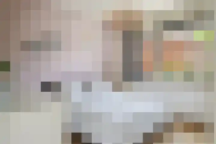 IJsvogelhof 3 Utrecht thumbnail 19