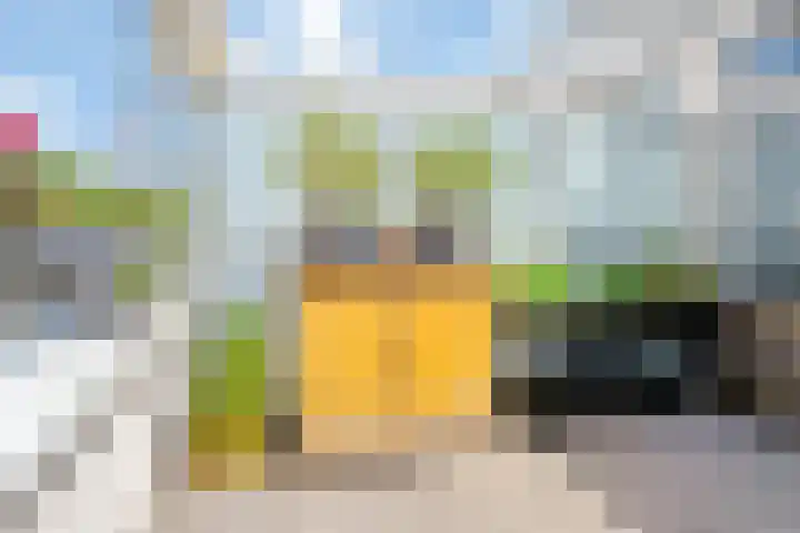 IJsvogelhof 3 Utrecht thumbnail 27