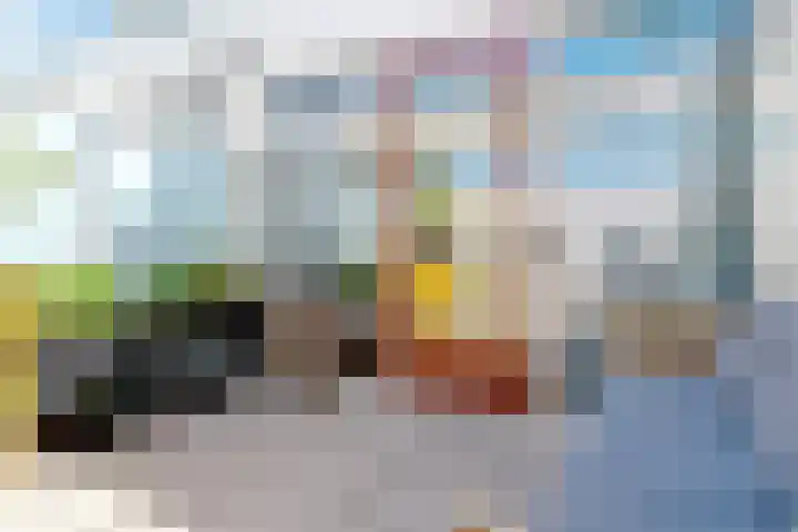 IJsvogelhof 3 Utrecht thumbnail 28
