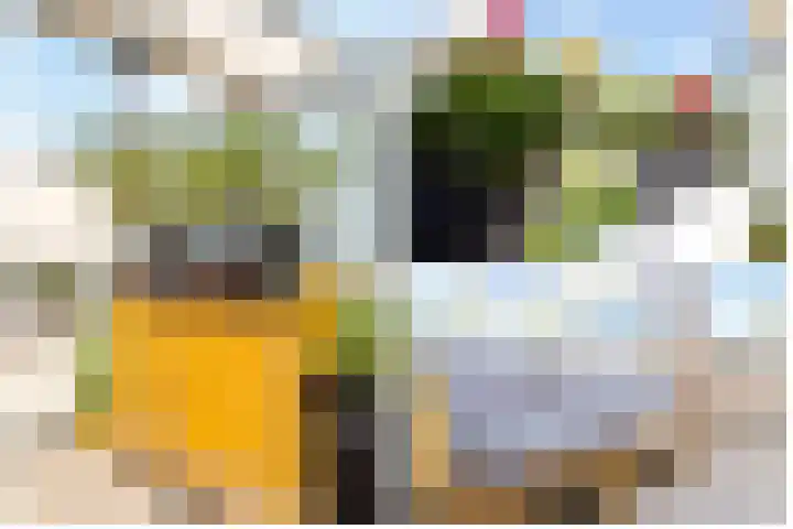 IJsvogelhof 3 Utrecht thumbnail 30