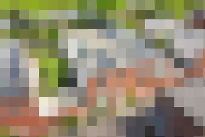 IJsvogelhof 3 Utrecht thumbnail 31
