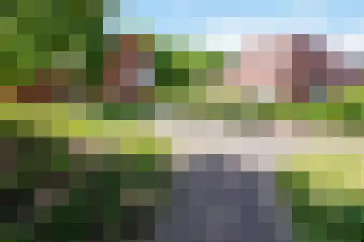 IJsvogelhof 3 Utrecht thumbnail 32