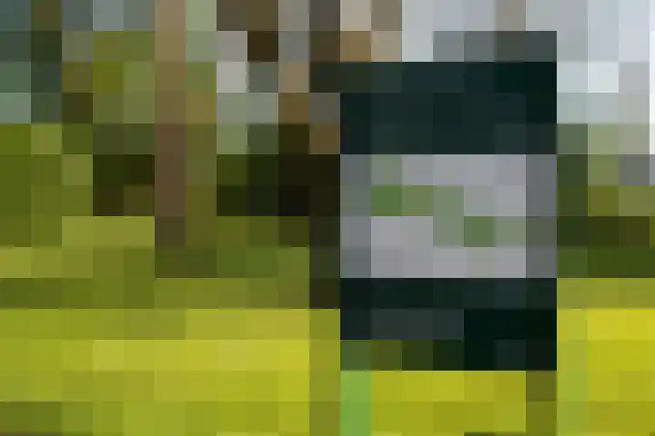 IJsvogelhof 3 Utrecht thumbnail 33