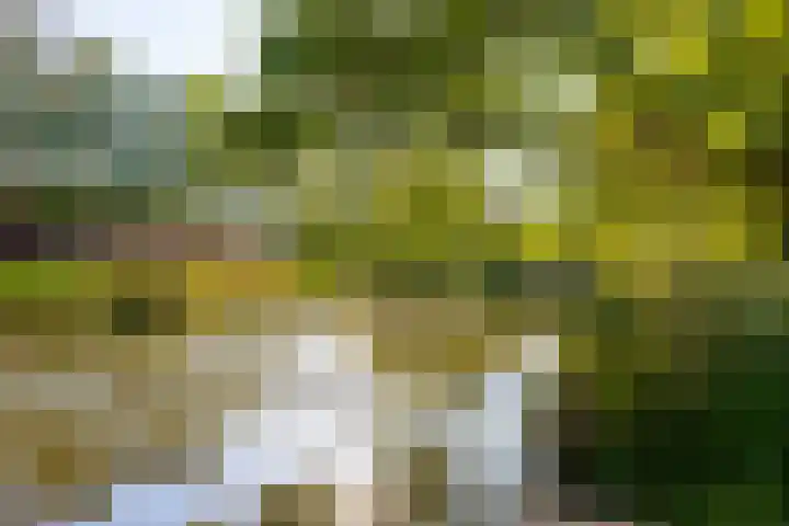 IJsvogelhof 3 Utrecht thumbnail 34