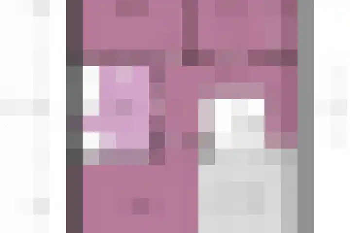 IJsvogelhof 3 Utrecht thumbnail 39