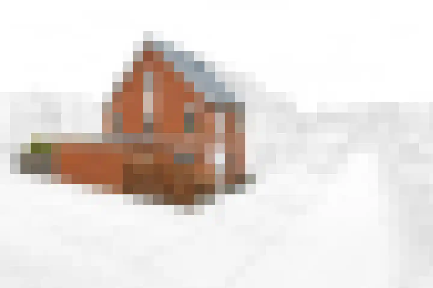 IJsvogelhof 32 Rijswijk thumbnail 7