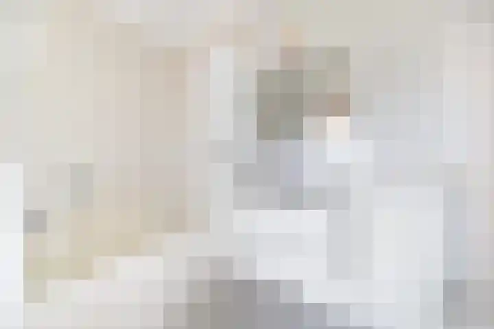 IJsvogellaan 141 Leidschendam thumbnail 16
