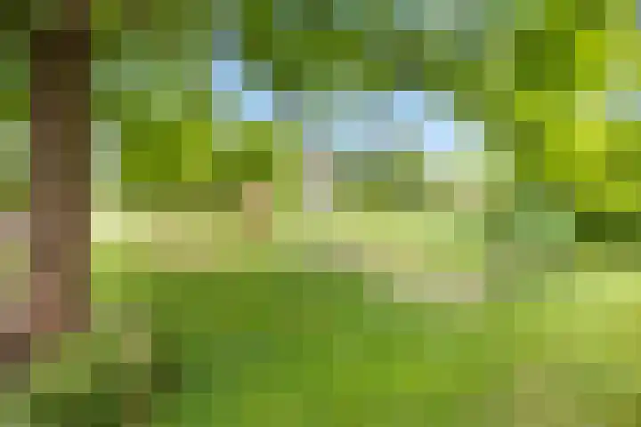 IJsvogellaan 141 Leidschendam thumbnail 26