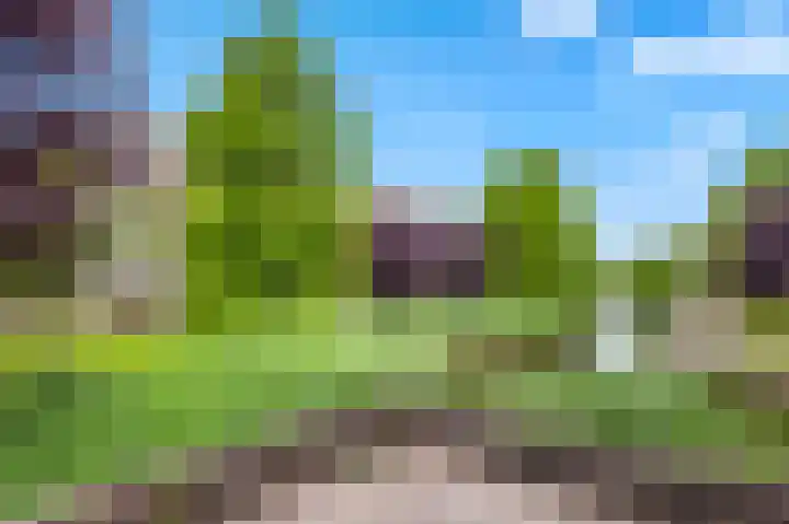 IJsvogellaan 141 Leidschendam thumbnail 28