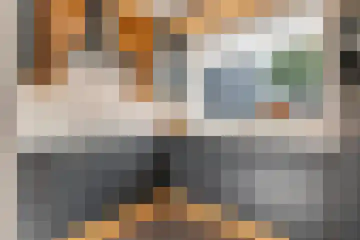IJsvogellaan 16 Leerdam thumbnail 15