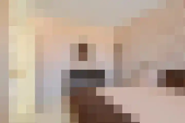 IJsvogellaan 16 Leerdam thumbnail 20
