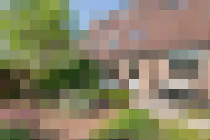 IJsvogellaan 16 Leerdam thumbnail 36