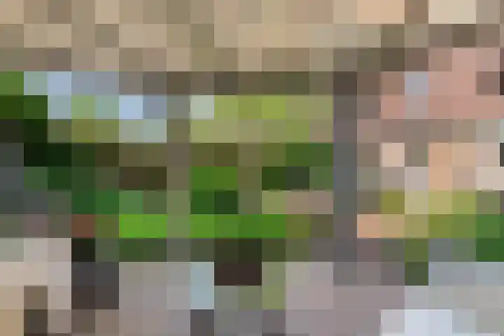 IJsvogellaan 16 Leerdam thumbnail 38