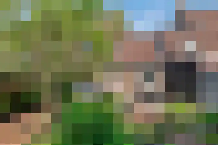 IJsvogellaan 16 Leerdam thumbnail 39