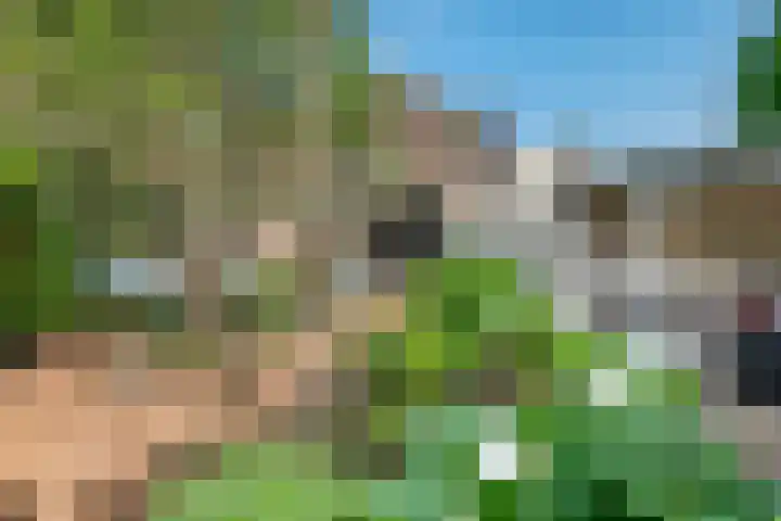 IJsvogellaan 16 Leerdam thumbnail 4