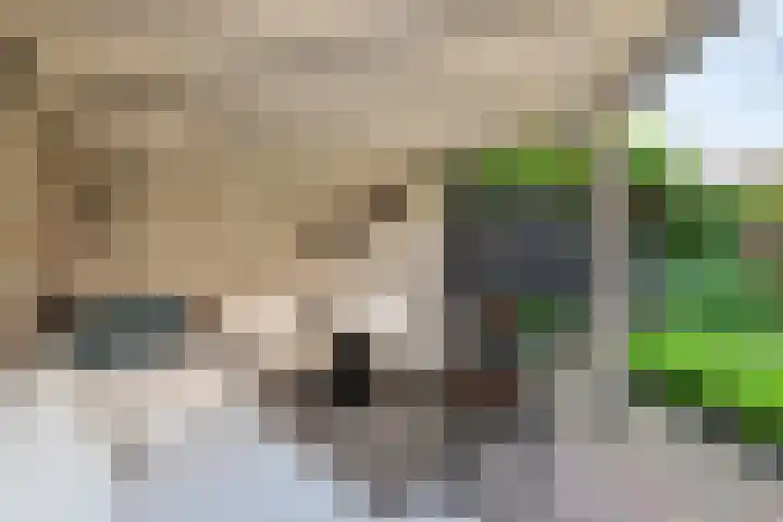 IJsvogellaan 16 Leerdam thumbnail 40