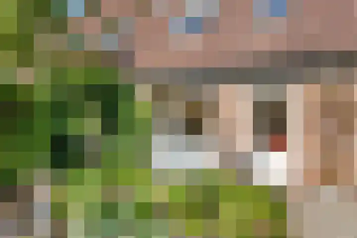 IJsvogellaan 16 Leerdam thumbnail 41