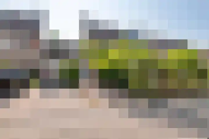 IJsvogellaan 16 Leerdam thumbnail 5