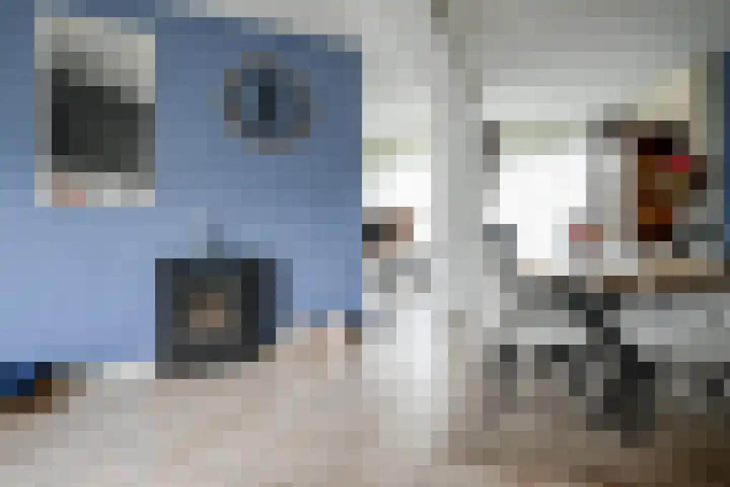 IJsvogellaan 28 Bleiswijk thumbnail 12