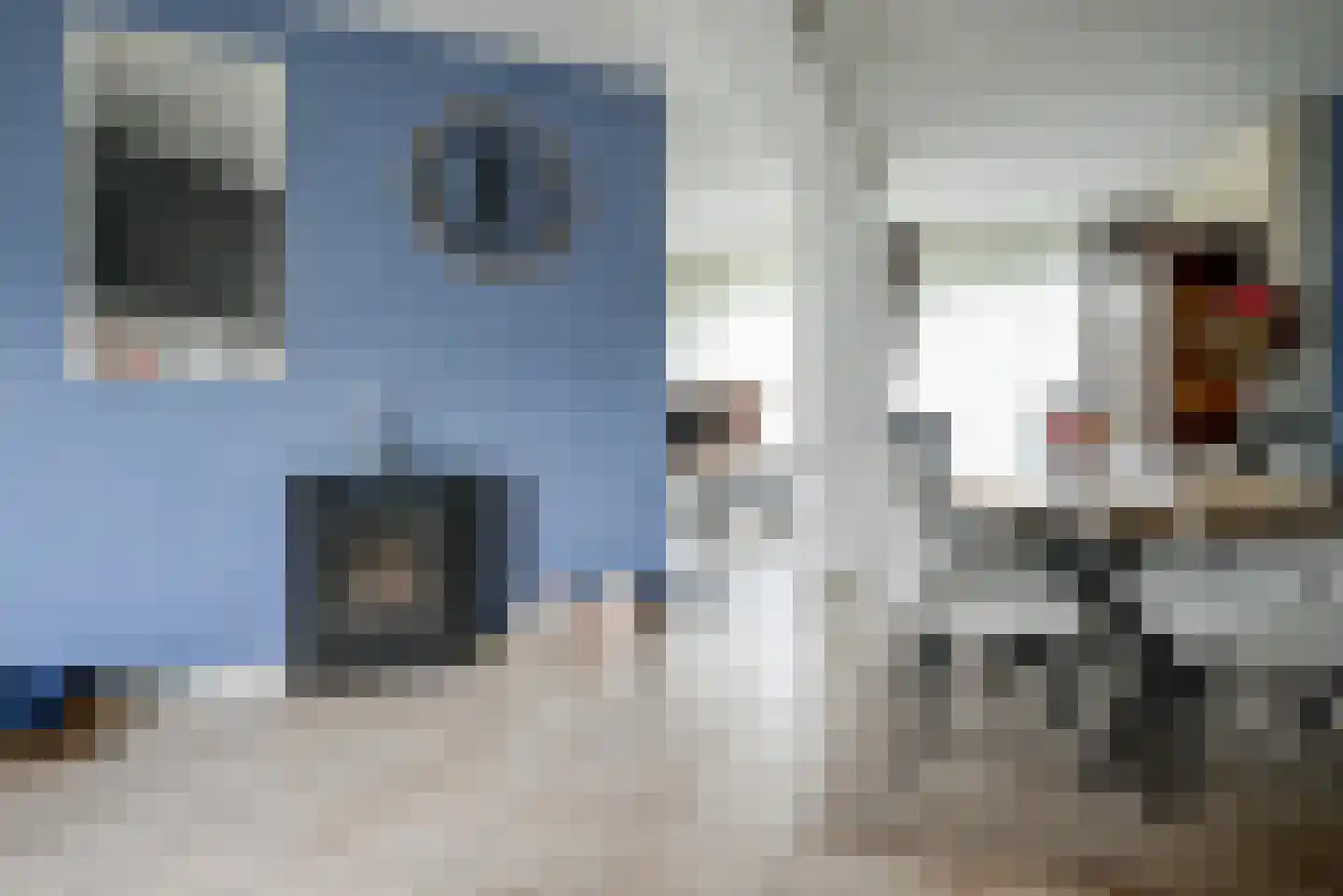 IJsvogellaan 28 Bleiswijk thumbnail 12