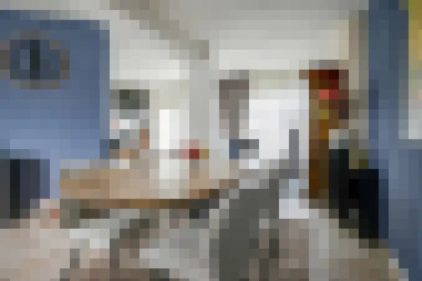 IJsvogellaan 28 Bleiswijk thumbnail 13