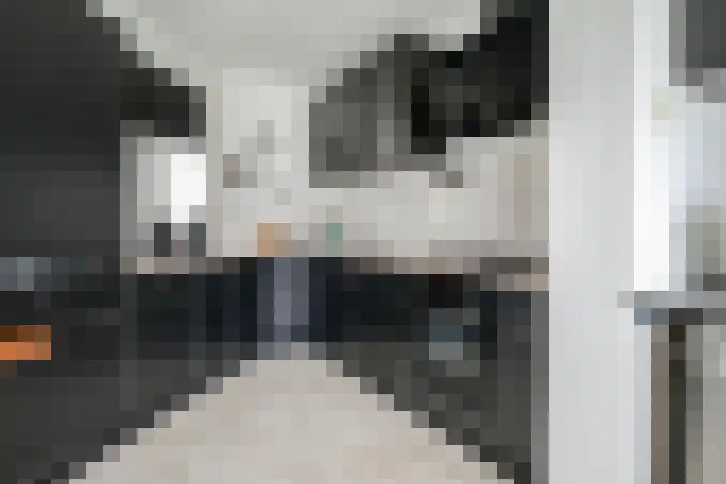IJsvogellaan 28 Bleiswijk thumbnail 17