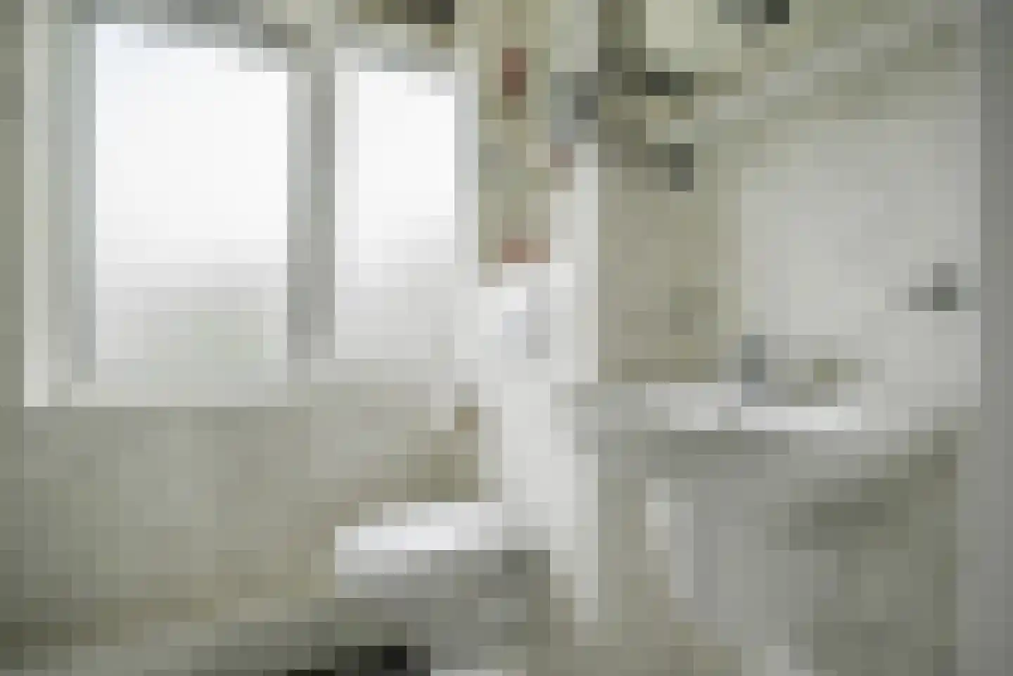 IJsvogellaan 28 Bleiswijk thumbnail 21