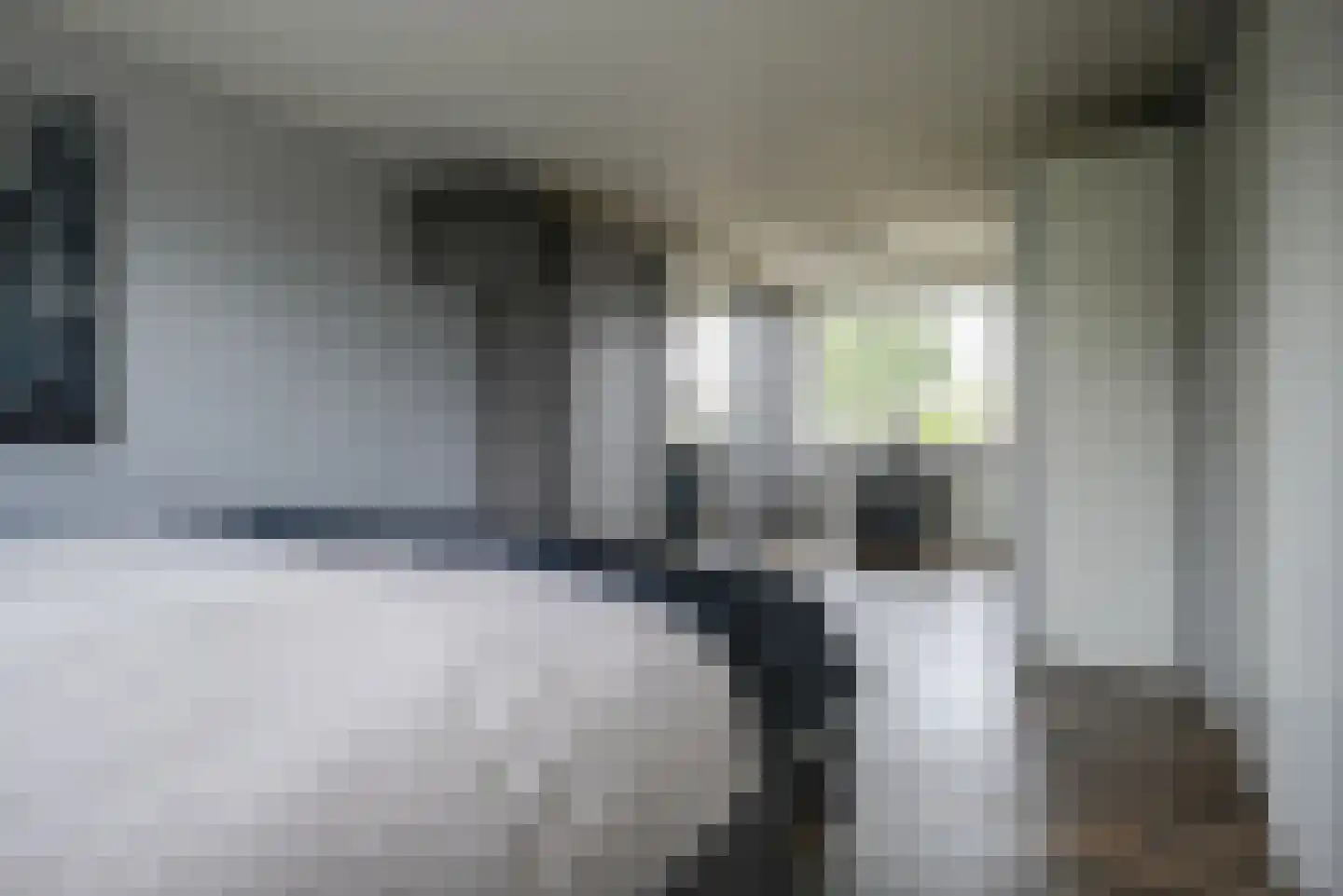 IJsvogellaan 28 Bleiswijk thumbnail 24
