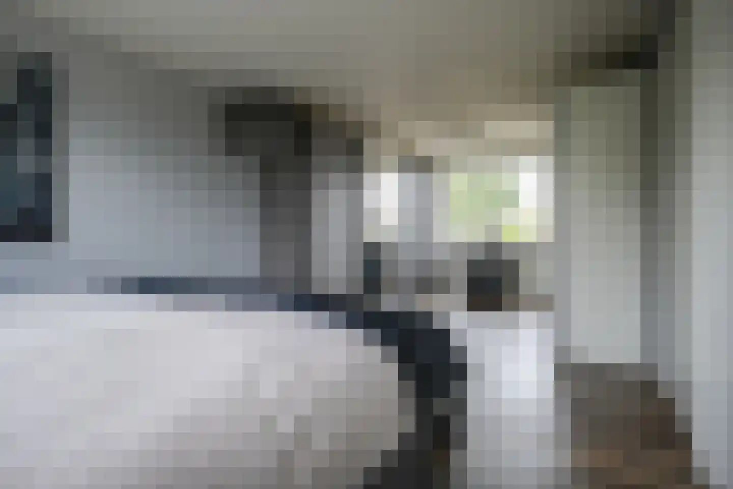 IJsvogellaan 28 Bleiswijk thumbnail 24