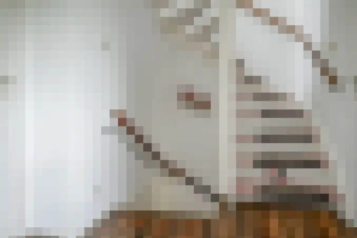 IJsvogellaan 28 Bleiswijk thumbnail 30