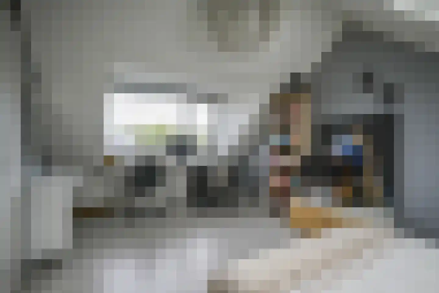 IJsvogellaan 28 Bleiswijk thumbnail 32