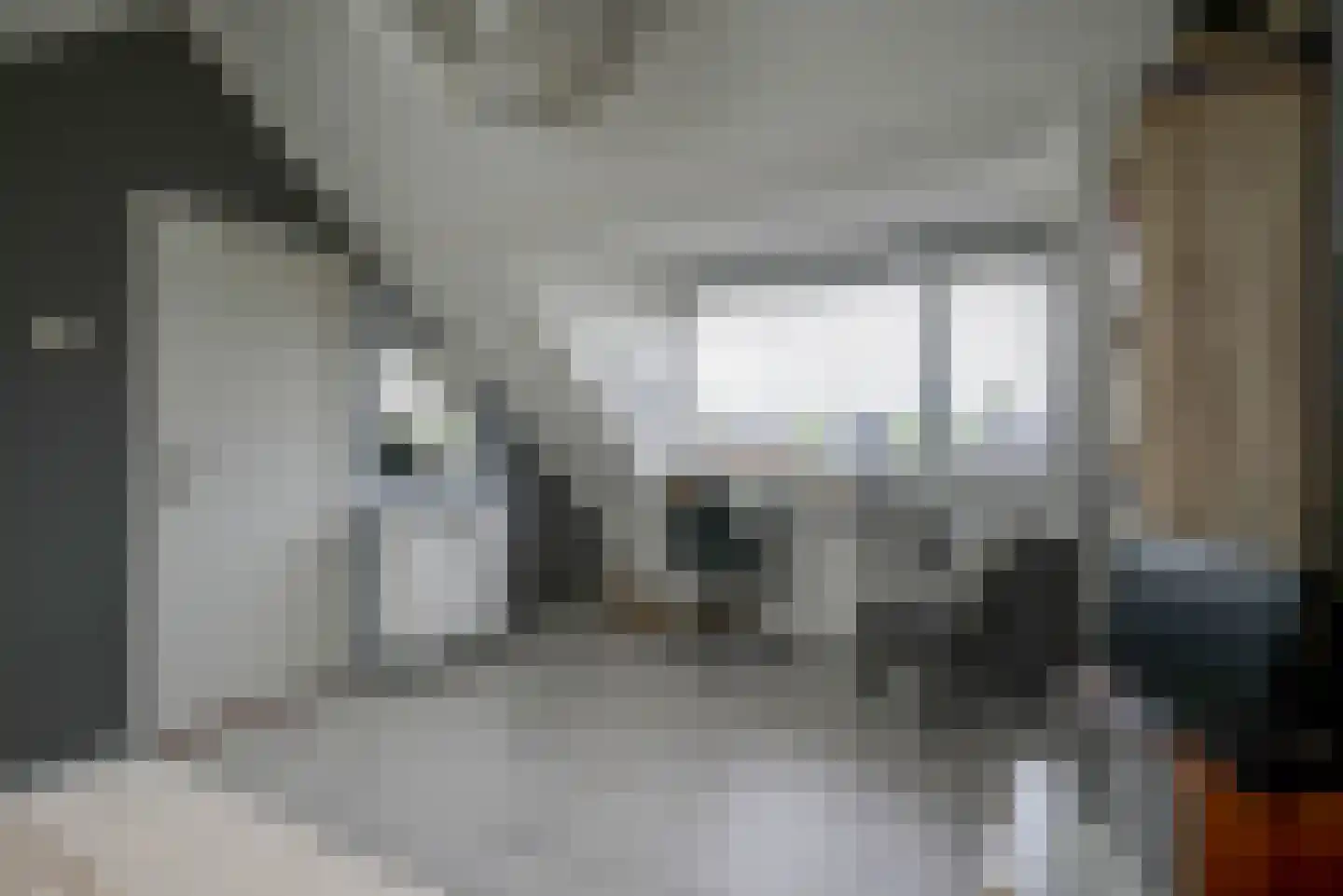 IJsvogellaan 28 Bleiswijk thumbnail 33
