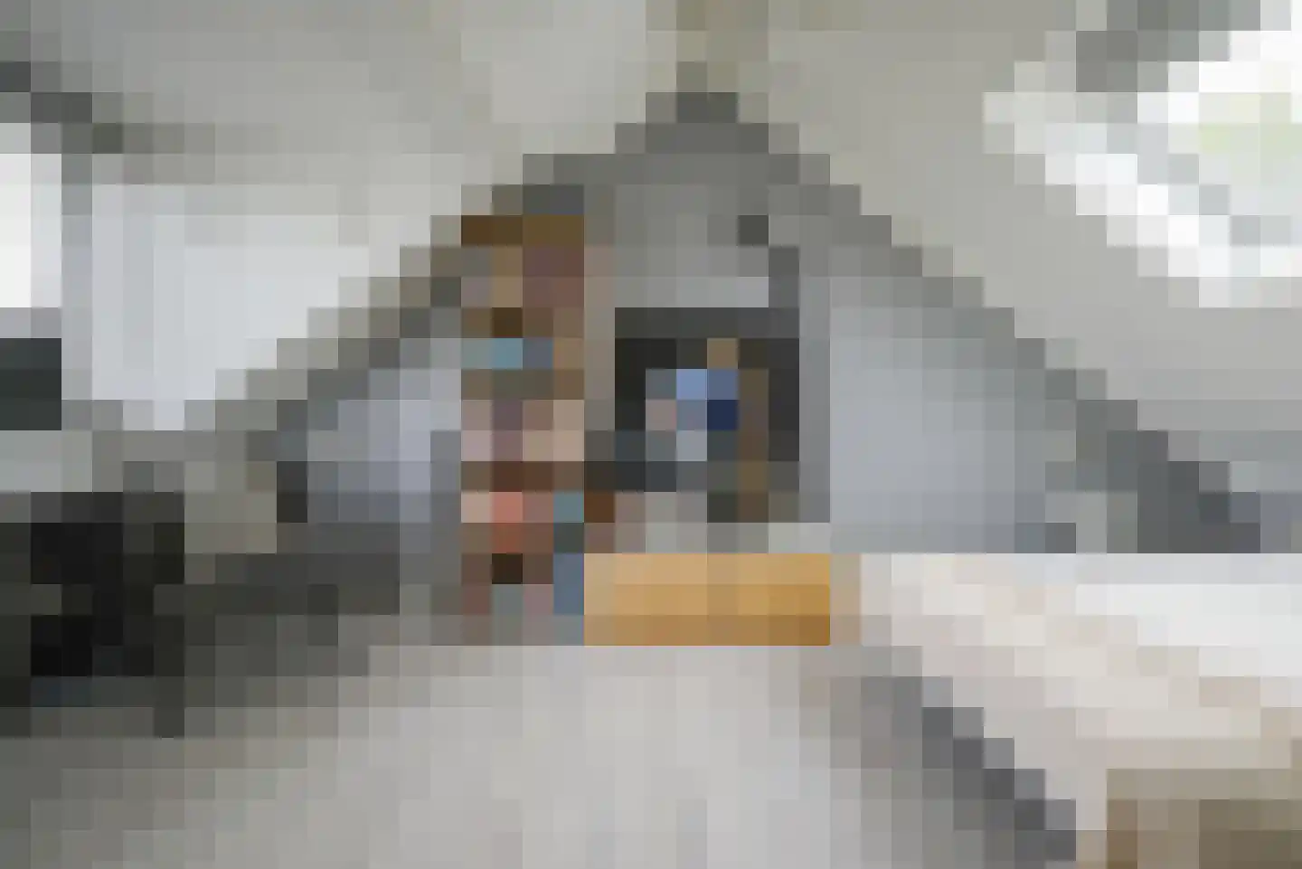 IJsvogellaan 28 Bleiswijk thumbnail 34