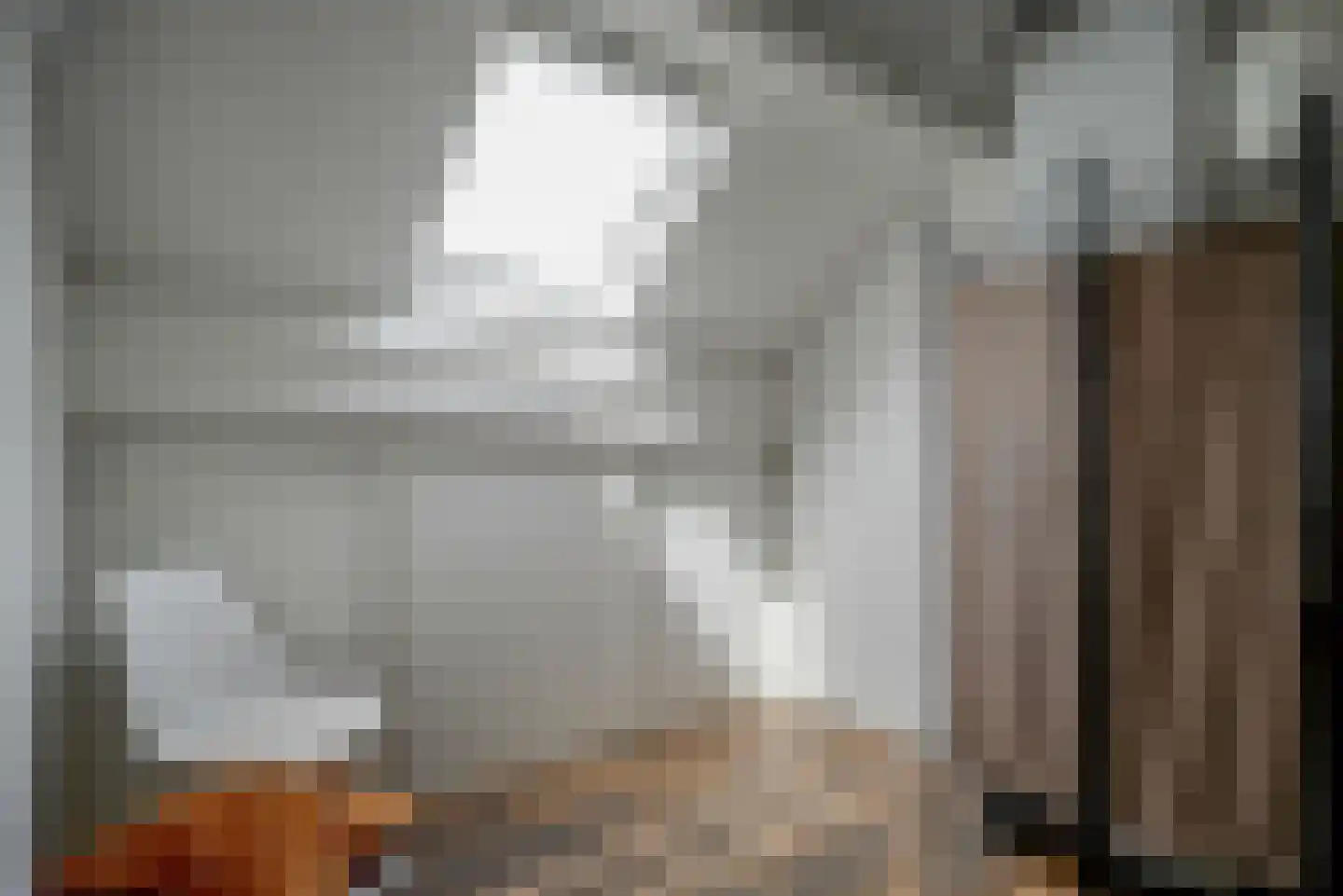 IJsvogellaan 28 Bleiswijk thumbnail 35