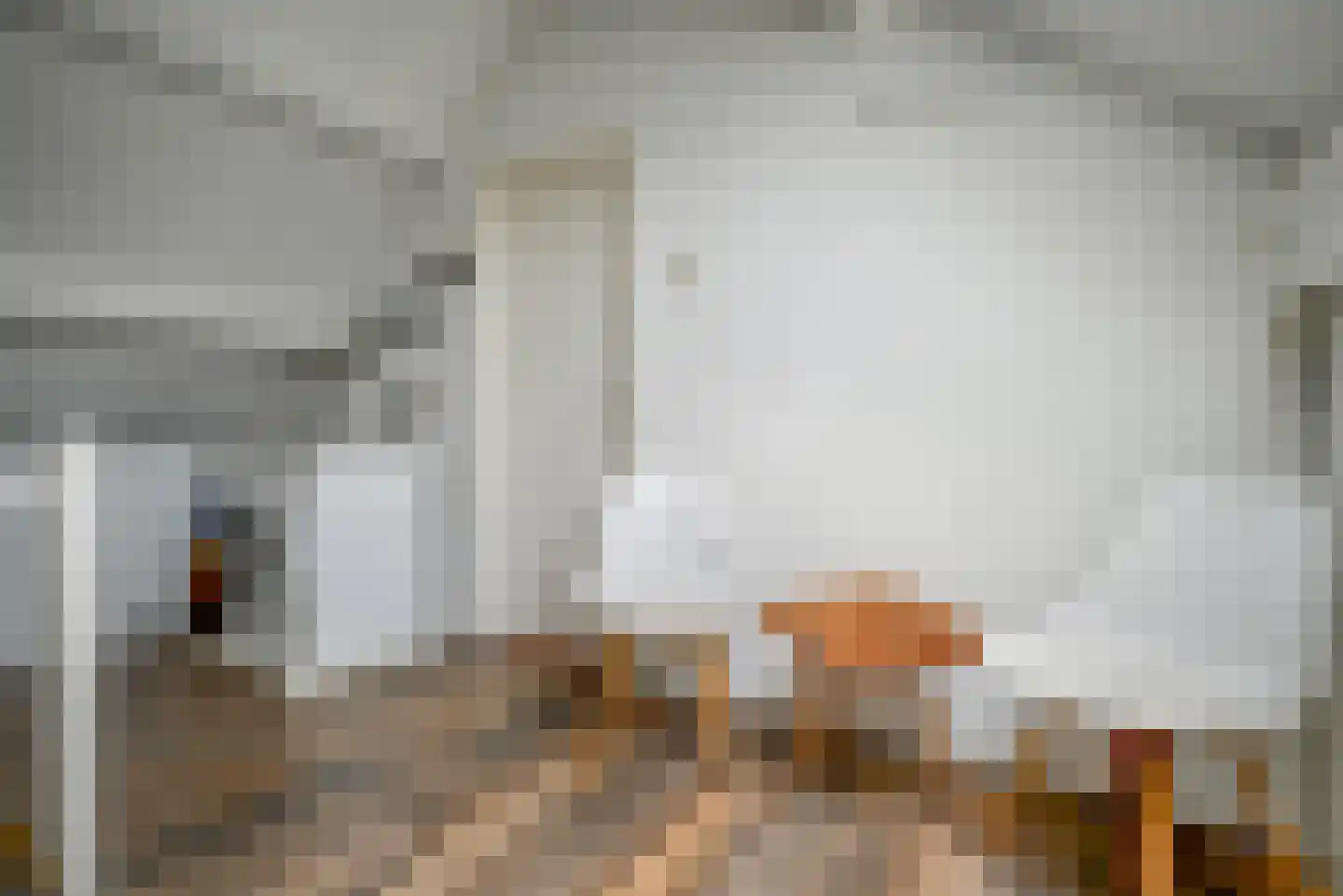 IJsvogellaan 28 Bleiswijk thumbnail 36