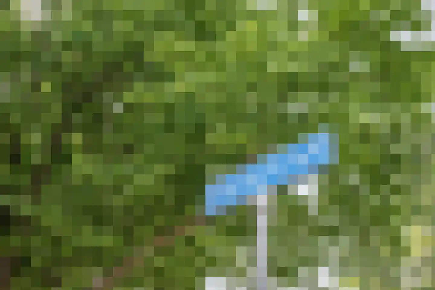 IJsvogellaan 28 Bleiswijk thumbnail 45