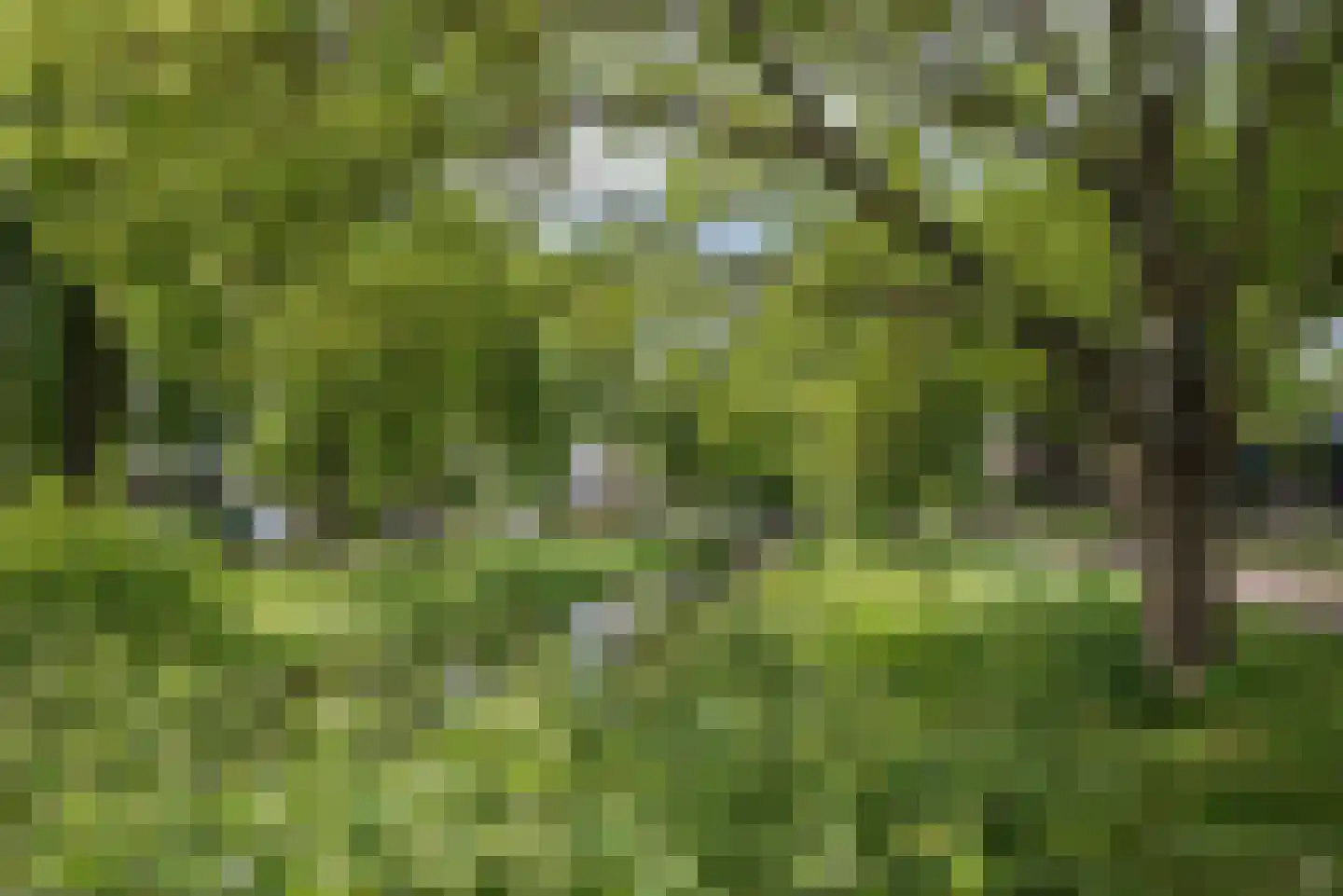 IJsvogellaan 28 Bleiswijk thumbnail 47