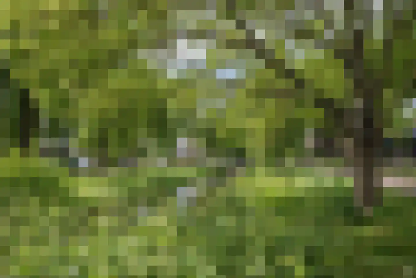 IJsvogellaan 28 Bleiswijk thumbnail 47