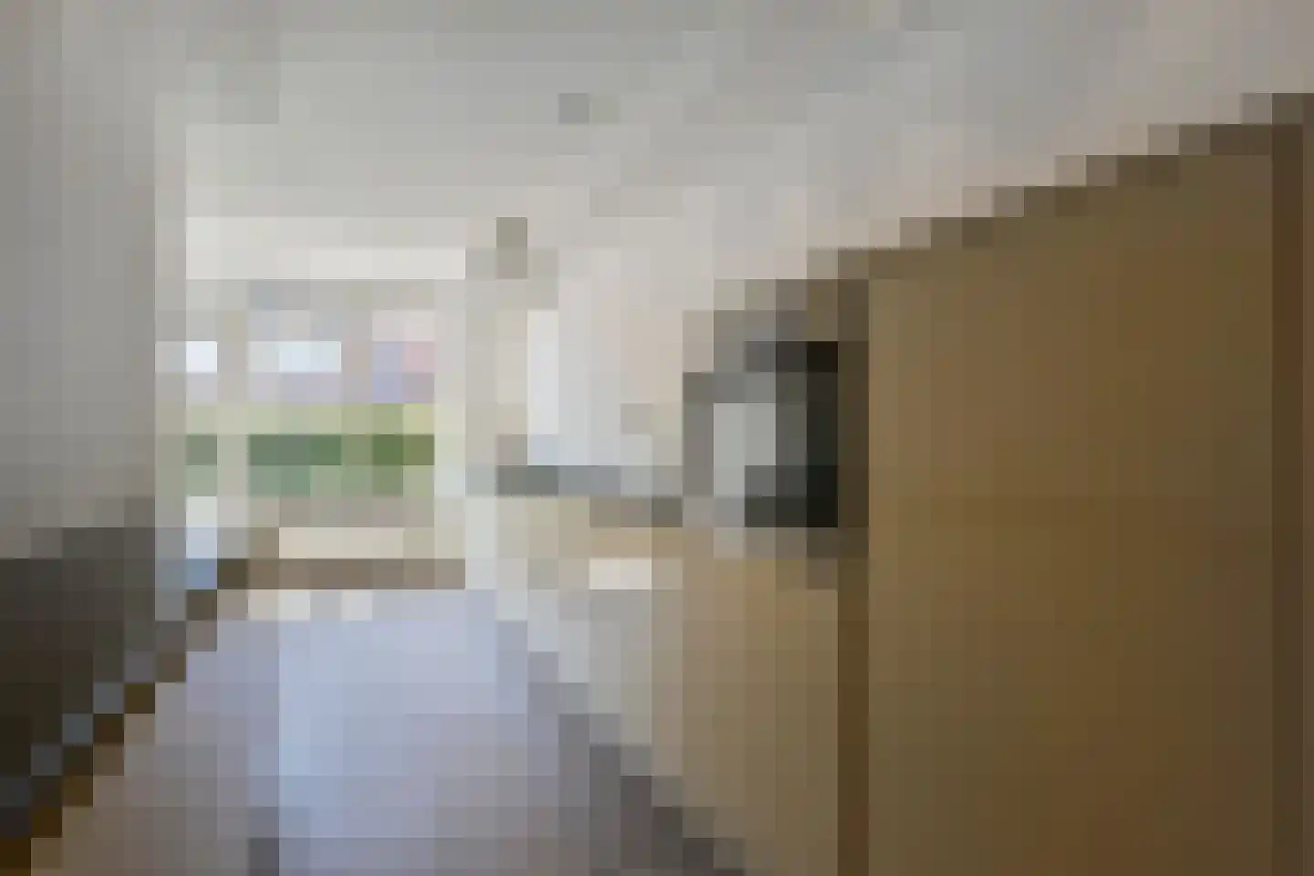 IJsvogellaan 56 Leidschendam thumbnail 10